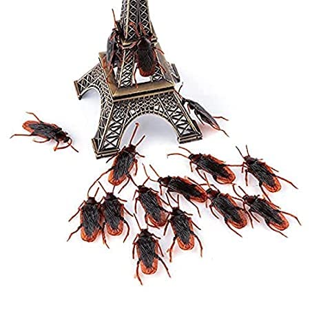 Braintastic Realistic Toy Cockroach Prank Toy | Practical Joke Toy Made of Rubber | Scary Insects Toy for Make a Fool of Love Ones, Friend (Pack of 6)