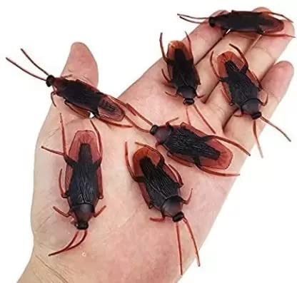 Braintastic Realistic Toy Cockroach Prank Toy | Practical Joke Toy Made of Rubber | Scary Insects Toy for Make a Fool of Love Ones, Friend (Pack of 6)