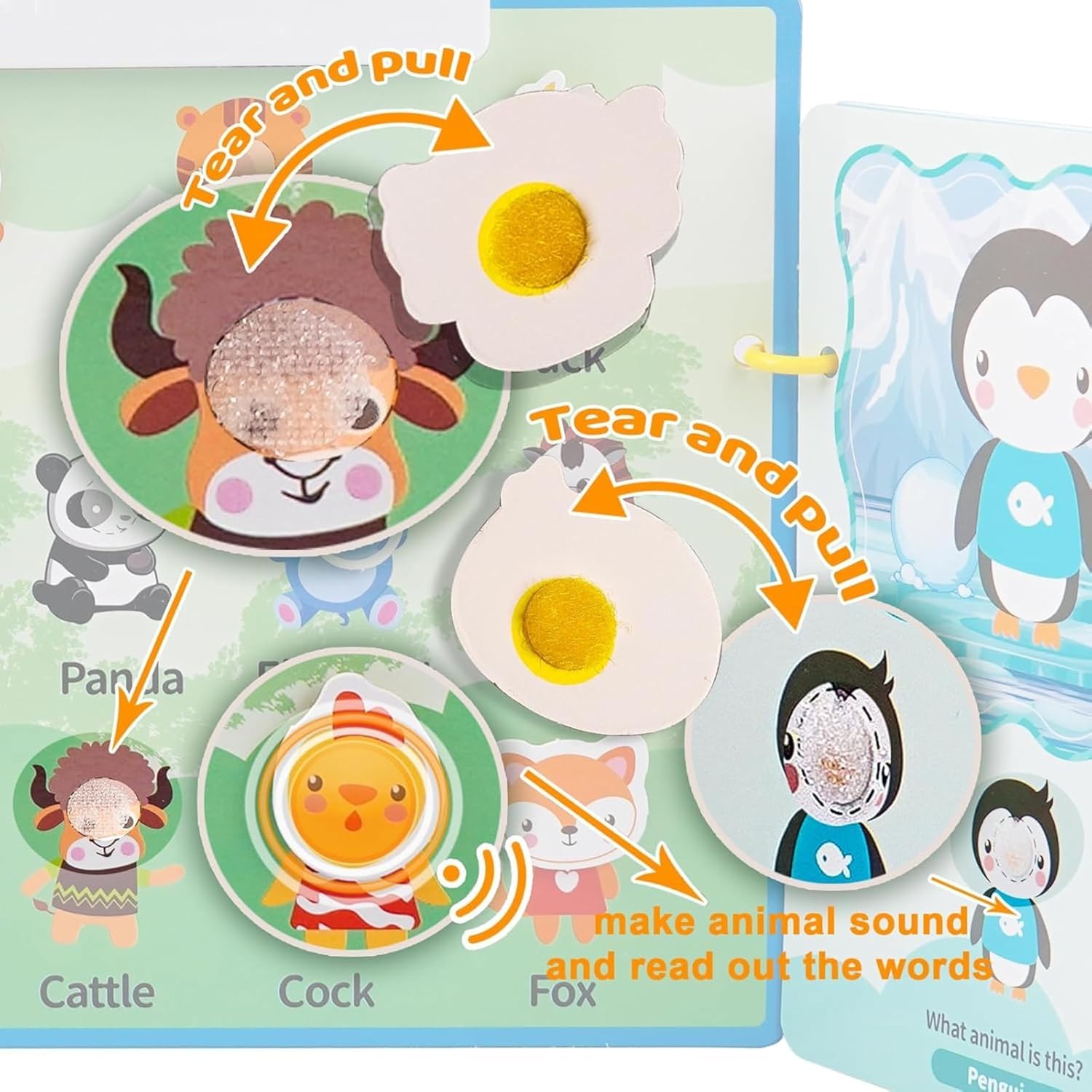 Braintastic DIY Point Reading Toys for Kids | Interactive Talking Flash Cards | Early Learning Educational Toy for Toddlers (Fruits Theme) | 3+ Years