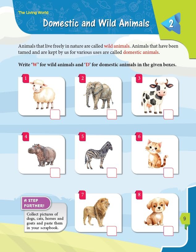 Macmillan GK Star – 1 | General Knowledge Book for Class 1 | GK Book for Kids Age 4-8 Years Old