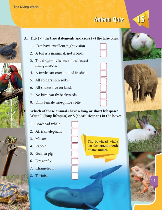 Macmillan GK Star – 5 | General Knowledge Book for Class 5 | GK Book for Kids Age 8-12 Years Old